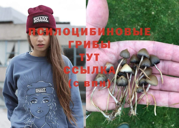 кокаин колумбия Алексин