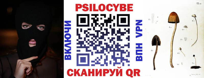 Купить закладки  Краснокаменск  Галлюциногенные грибы Magic Shrooms 